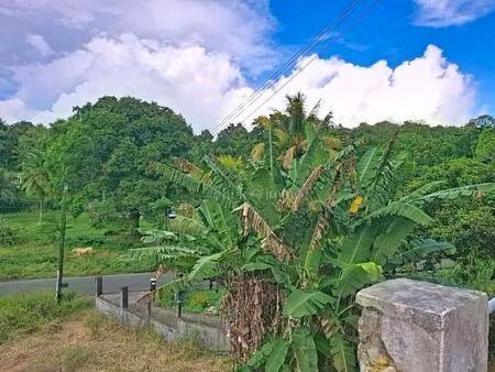 les abymes - t2 meublé eau inclus  secteur calme.
