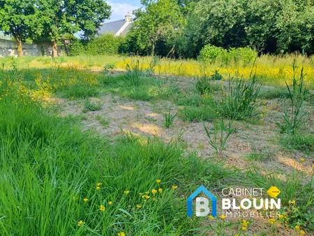 terrain viabilisé heric 390 m2