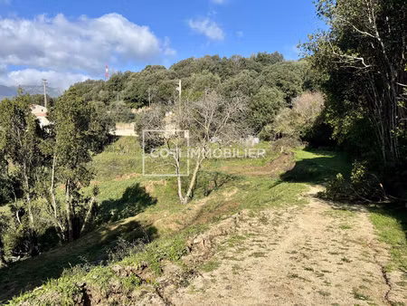 arbellara - terrain constructible - 2594m2