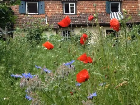 appartement 5 pièces au calme