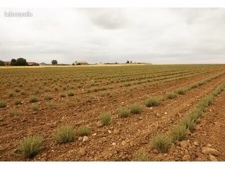 recherche terrain agricole