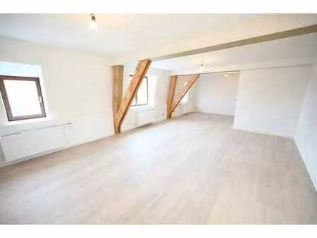 volledig gerenoveerd appartement met terras