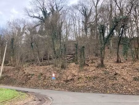 terrain boisé de 3000m² à trooz