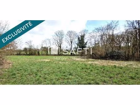 vente terrain à nozay (44170) : à vendre / 2500m² nozay