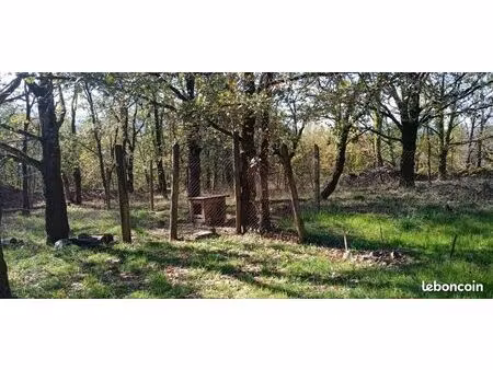 location terrain chenil