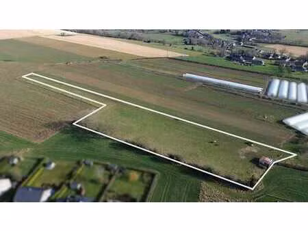 option !!! parcelle de prairie à vendre à hody