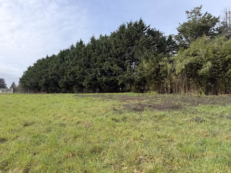 terrain constructible de 3378m2