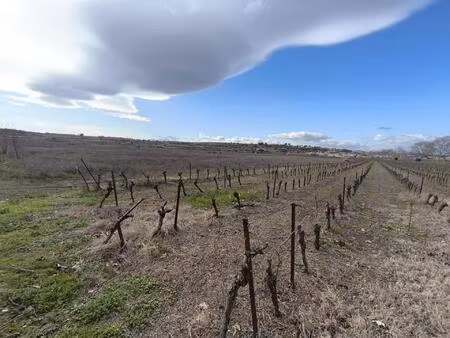 domaine viticole à vendre — hérault (34) — occitanie