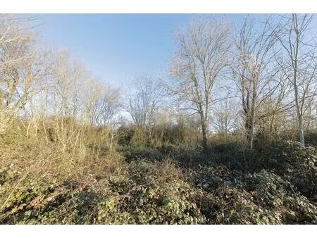 terrain - 15 113 m² - presles-en-brie (77)