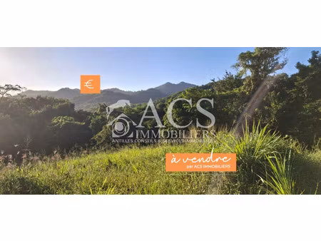 terrain à vendre au quartier concorde - trois-ilets