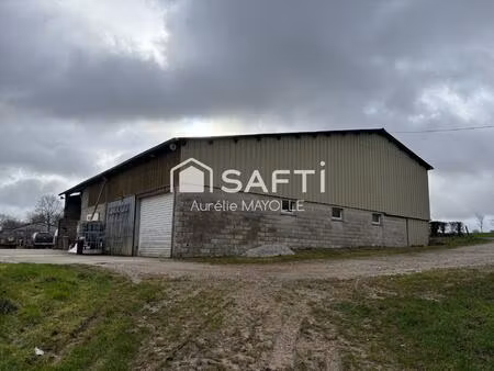 corps de ferme plain pied  2 hangars  dépendances  grand terrain