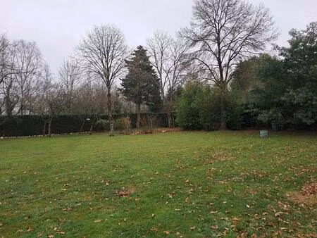 terrain arboré et constructible