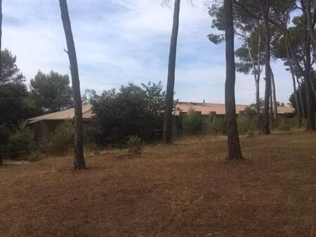 clapiers - studio terrasse dans pinède