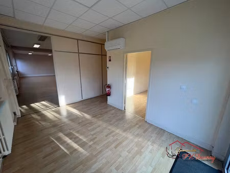 immobilier professionnel à vendre millau
