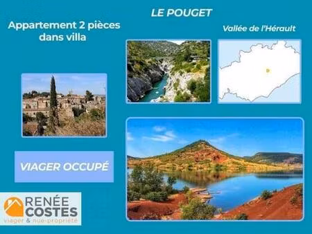 viager occupé - h76 ans - le pouget (34230)