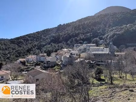 viager occupé - f85 ans - rospigliani (20242)