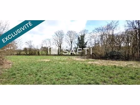 terrain non constructible nozay 2500 m²