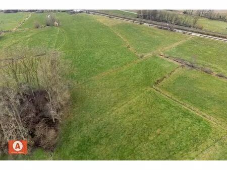 weiland/landbouwgrond van 137a - grens buggenhout  malderen