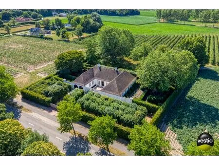 exclusieve villa in bosrijke omgeving van hasselt – 5.000 m² privacy en groen
