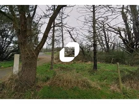 vente terrain saint mars du desert 44850