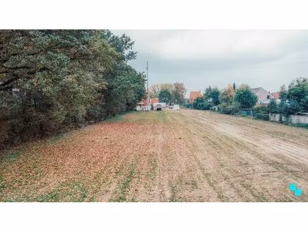 exclusieve bouwgronden in residentiële laan te wielsbeke