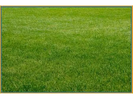 vente terrain à saint-martin-de-fontenay (14320) : à vendre / 3172m² saint-martin-de-fonte