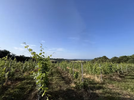 vente terrain 20000 m² puy-d’arnac (19120)