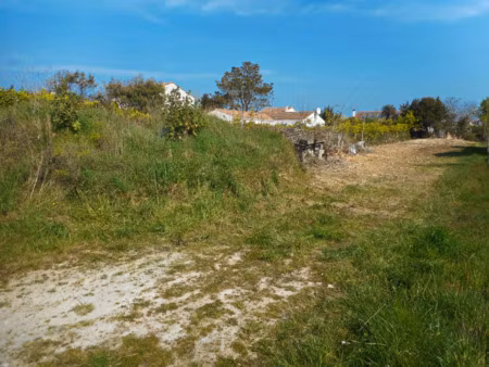 terrain à vendre saint pierre d'oleron 950m2 196 000€