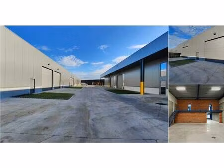 surface industrielle à vendre à pathoekeweg 11 bruges (rbv34847)