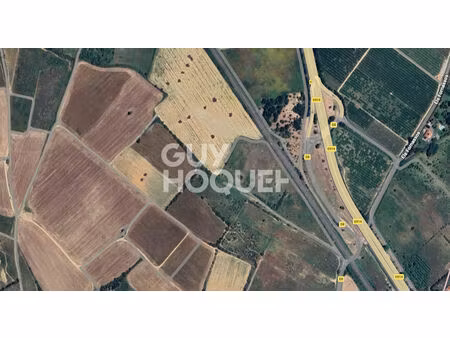 a vendre à villeneuve de la raho (66180) - terrain agricole