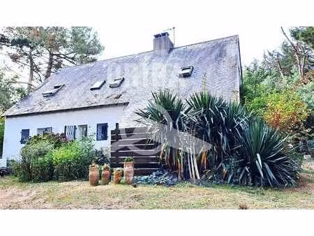 vente maison piscine à saint-lyphard (44410) : à vendre piscine / 97m² saint-lyphard