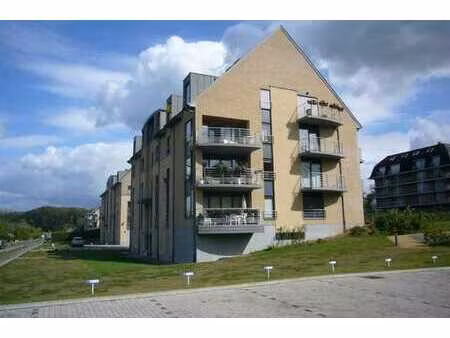 appartement centre non meublé.