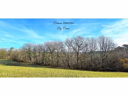 terrain boisé – environ 2 hectares – saint-léon-sur-vézère