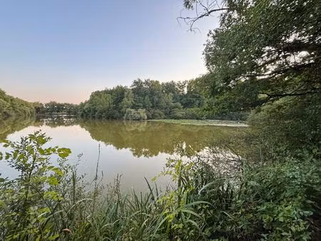 domaine avec étang privé un lieu d'exception pour passio