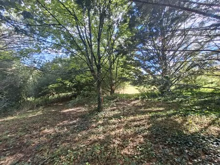 terrain constructible