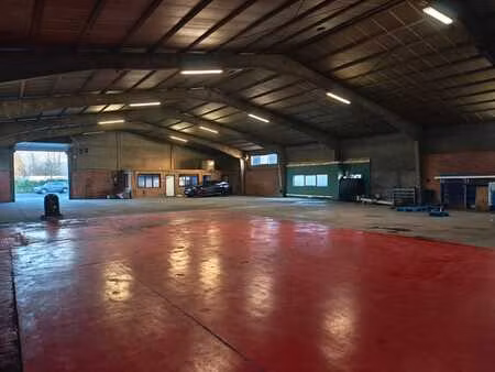 entrepôt / magasin / dépôt – 800 m² à louer à meise