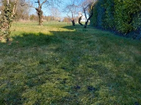 recherche terrain jardin