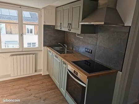 loue duplex 100m2 région frontalière buschwiller