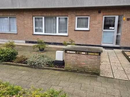 a louer - appartement au rez-de-chaussée à brasschaat