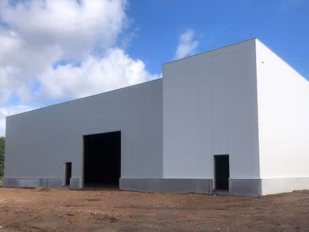 bien professionnel à vendre à westerlo € 867.360 (l28tp) | zimmo