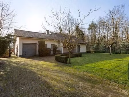 maison à vendre à halle € 498.000 (lld9k) - heylen vastgoed - oostmalle | zimmo