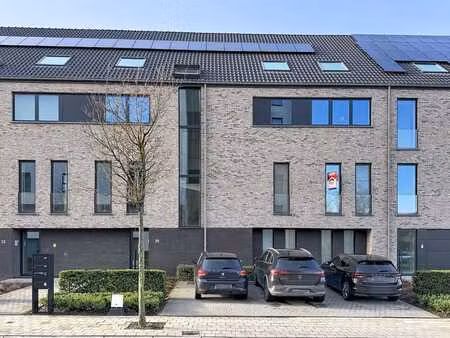 à louer : appartement meublé dans la jozef van damstraat
