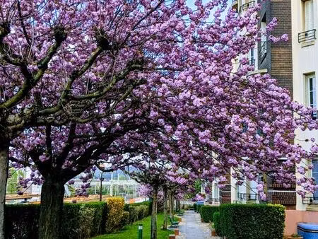 viroflay village – grand studio meublé avec balcon