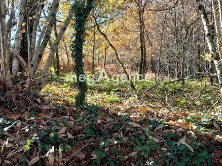 vente terrain 3064 m² à le chastang (19190)  24 000 €