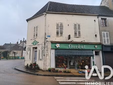 vente immeuble 124 m² brienon-sur-armançon (89210)