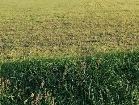 vente terrain à pleugriffet (56120) : à vendre / pleugriffet