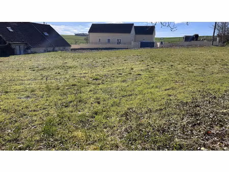 vente terrain 1382 m² charbuy (89113)