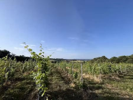 vente terrain 20000 m² à puy-d'arnac (19120)  35 000 €