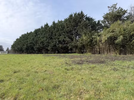 vente terrain 3300 m² à lugon-et-l'ile-du-carney (33240)  106 000 €