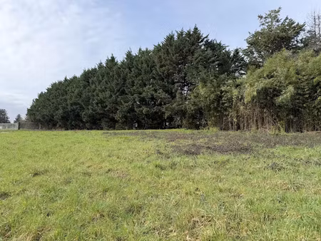 vente terrain 3300 m² à lugon-et-l'ile-du-carney (33240)  99 500 €